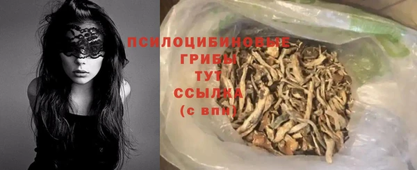 стаф Карпинск